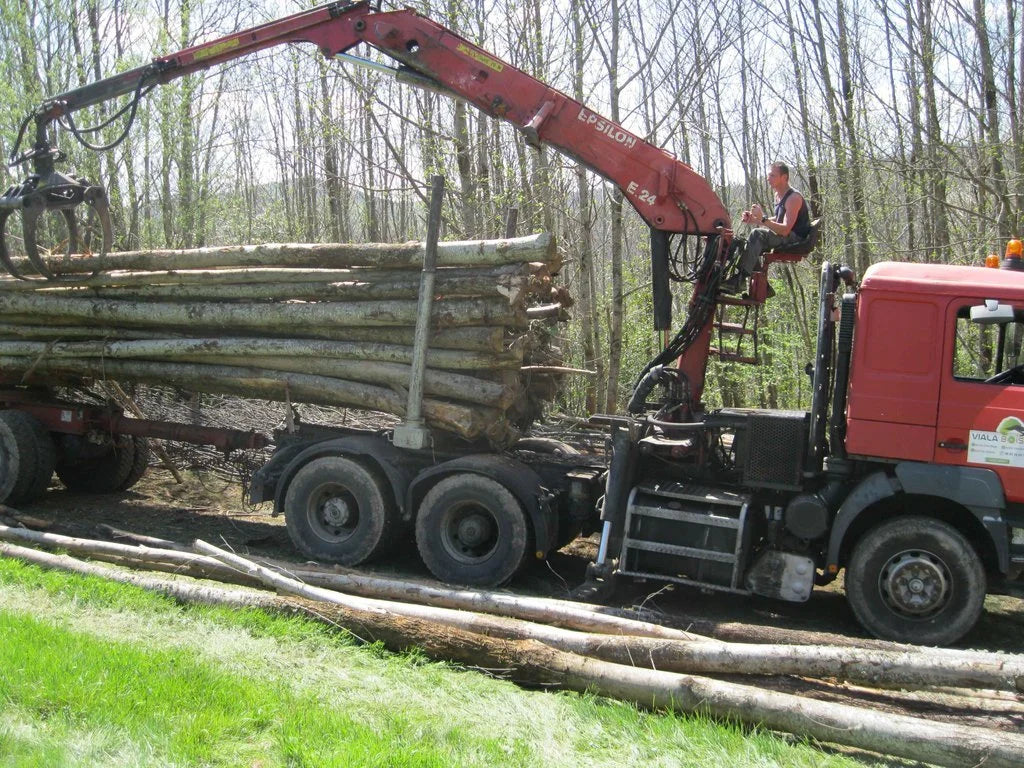 Camion di legna in tronchi – castagno – 50 stere